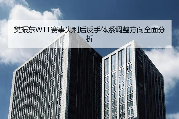 樊振东WTT赛事失利后反手体系调整方向全面分析